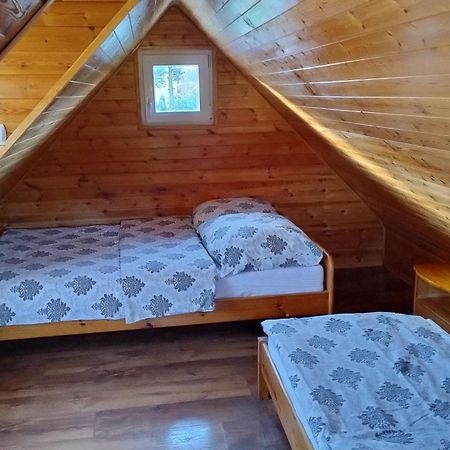 Willa Tajek Stegna  Zewnętrze zdjęcie